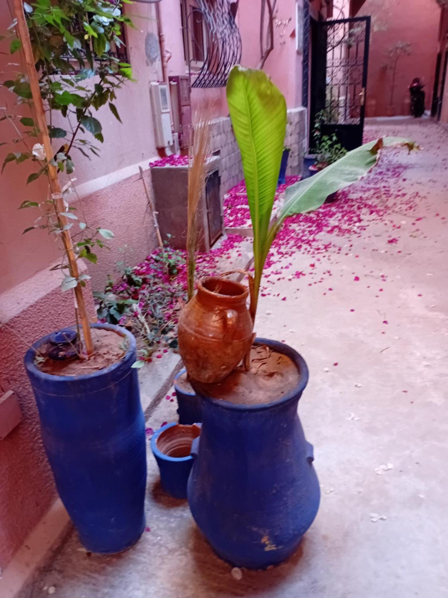 Riad Le Shams Marrakesh Eksteriør bilde